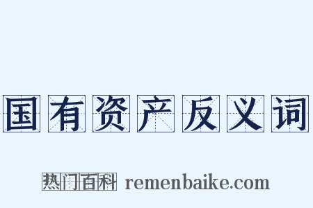 国有资产反义词是什么意思的图片